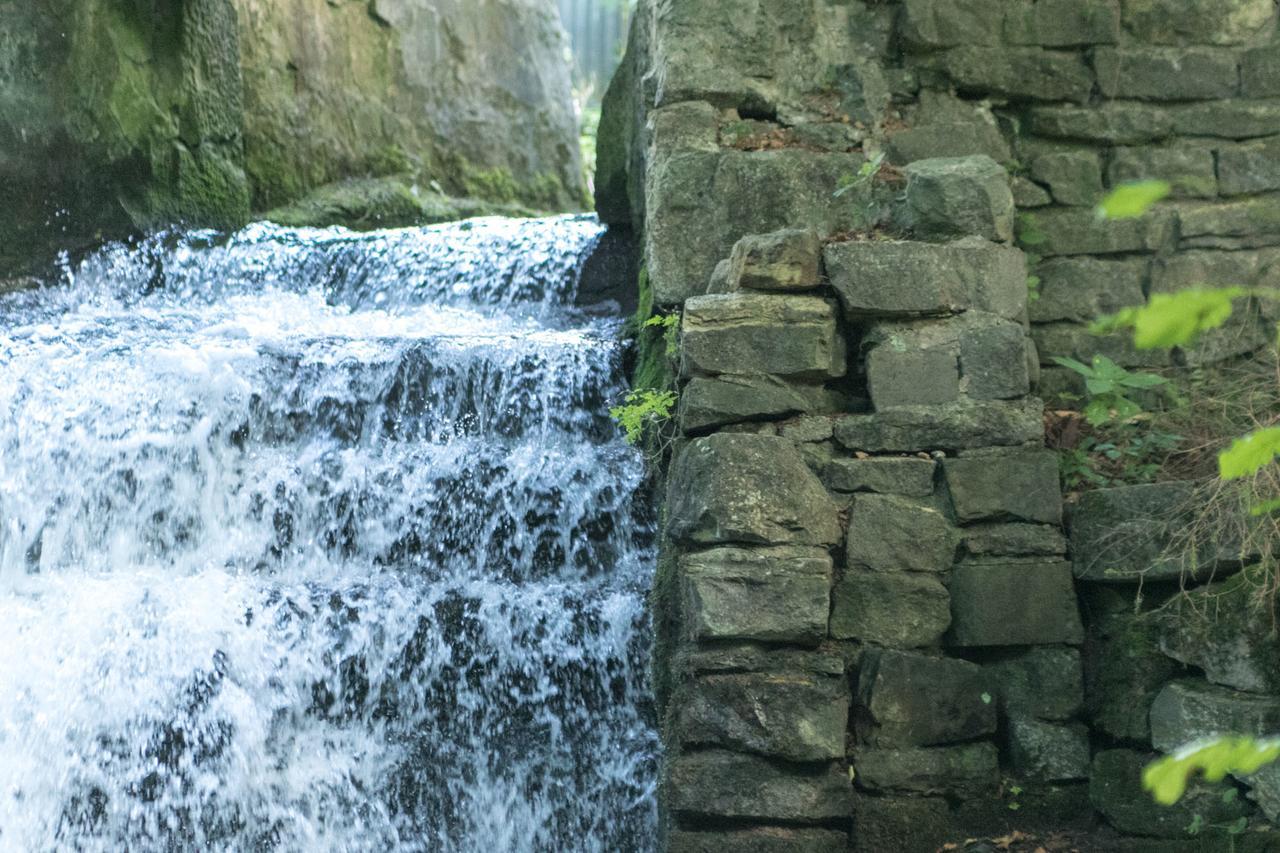 Haus Am Wasserfall Detmold Dış mekan fotoğraf