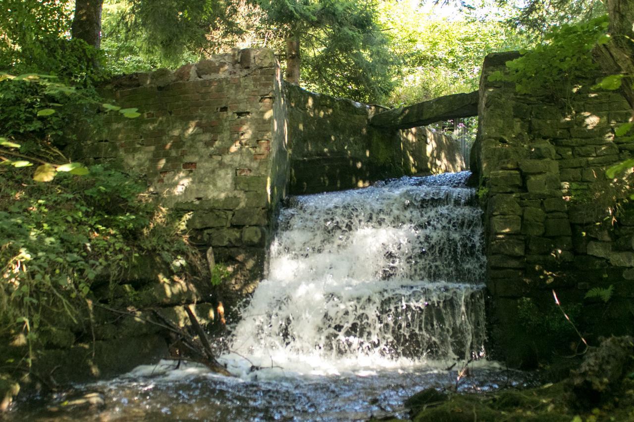 Haus Am Wasserfall Detmold Dış mekan fotoğraf